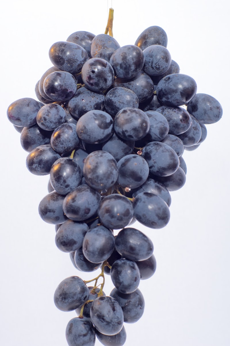 Uva Thompson Seedless